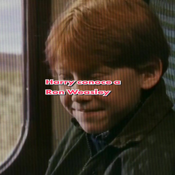 sonido originalの音楽を使い、HARRY POTTER CLIPS💞が作成した🧡[Harry conoce a Ron Weasley] #harrypotter #harrypottertiktok #harrypottertok #potter #pottertok #hogwarts #ronweasley #harrypottermovies 