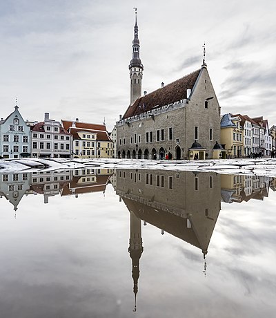 Raekoja plats pärast vihma (2019)