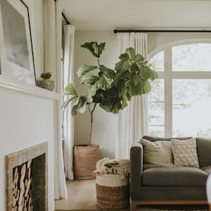A cozy white living room