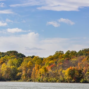 fall trees at Eagle Creek Park