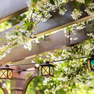 A wooden pergola with flowers climbing on it