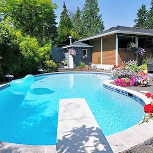 large swimming pool in backyard garden