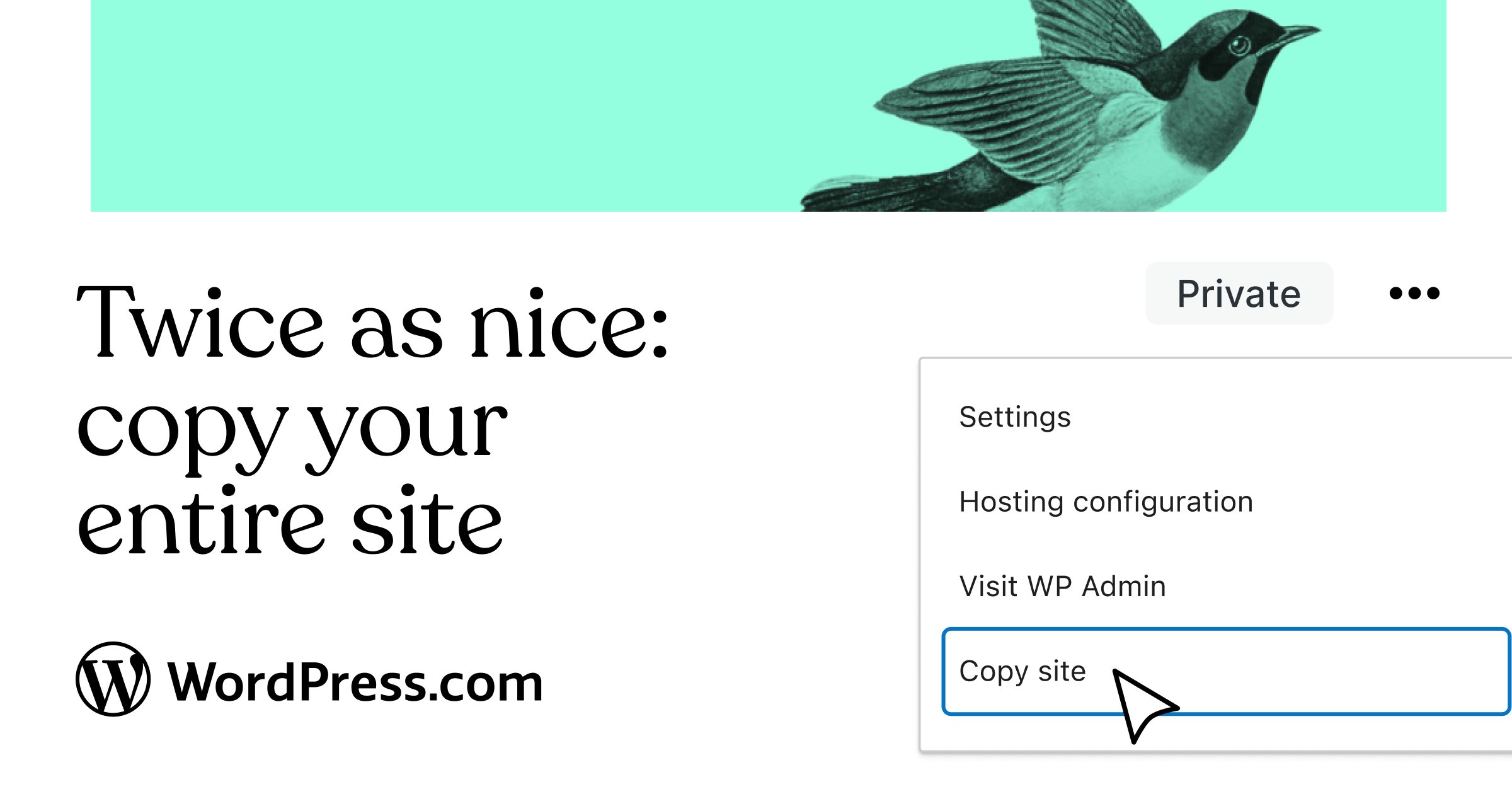 A light green banner image of a bird is at the top.  Headline reads "Twice as nice: copy your entire site" with the WordPress.com logo in the bottom left. On the right is a screenshot of the options menu showing a cursor hovering over the Copy site choice.