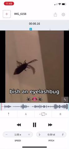 bish I’m on fleek da fuqq #megantheestallion #eyelashbug #audiostretch created by trashytribute with trashytribute's eyelashbug mix
