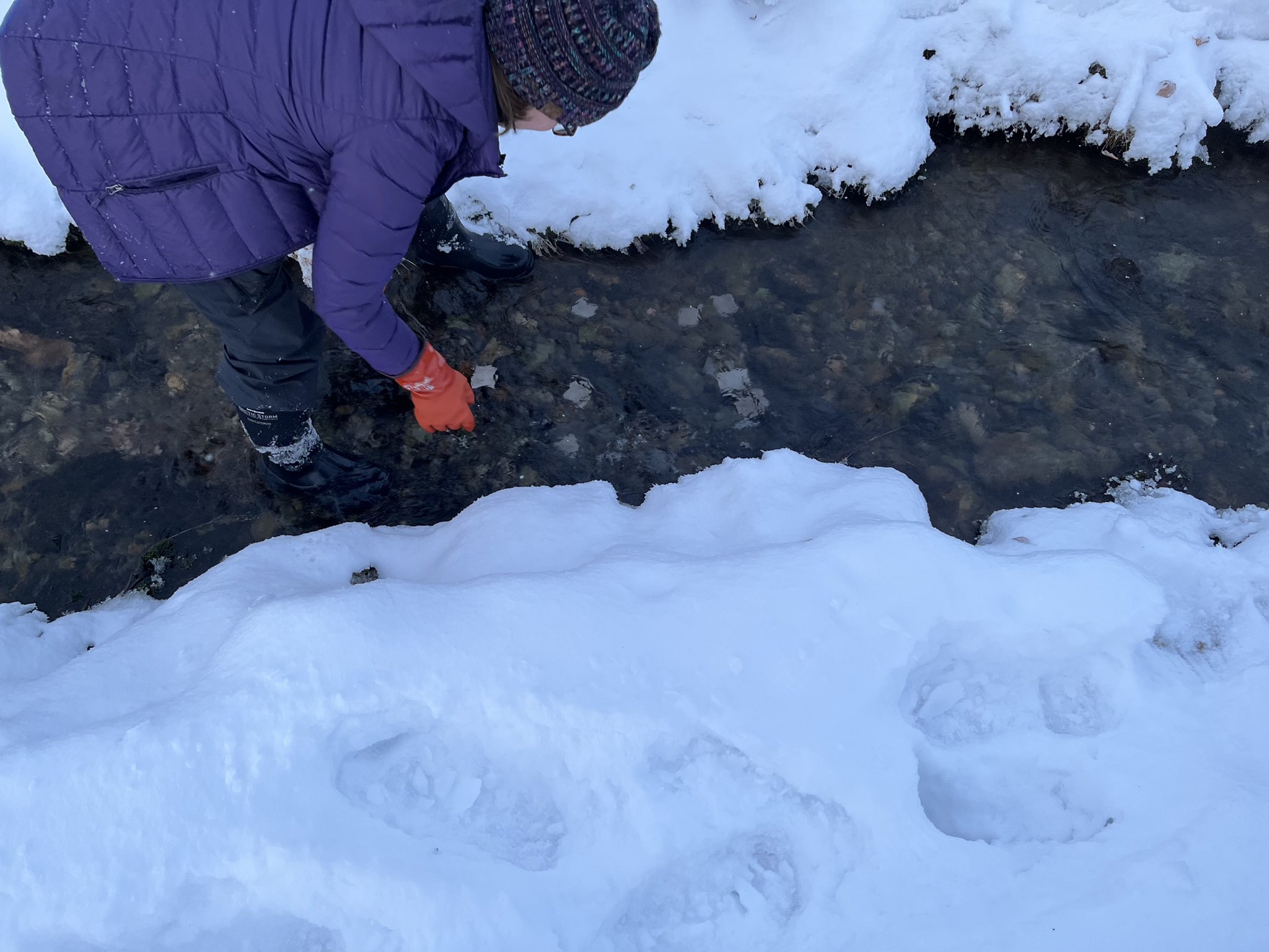 A researcher collects samples in a water stream surrounded by snow.