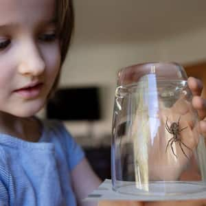 Girl observing a spider in a glass container