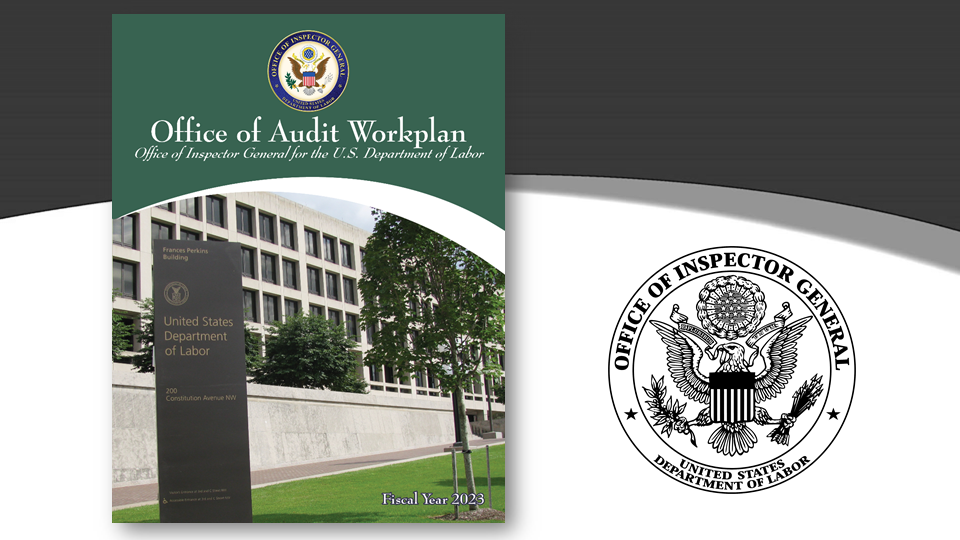 OIG Fiscal Year 2023 Audit Workplan