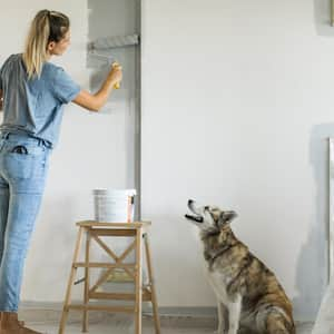 Woman painting a wall