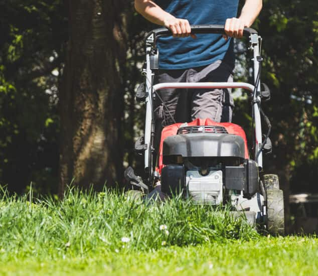 Lawn Mowing