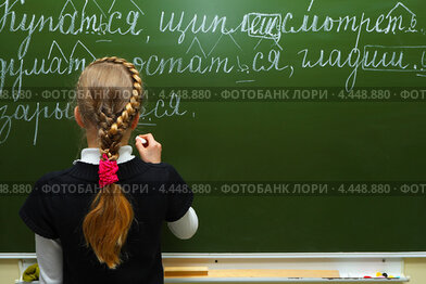 Урок русского языка и литературы в школе