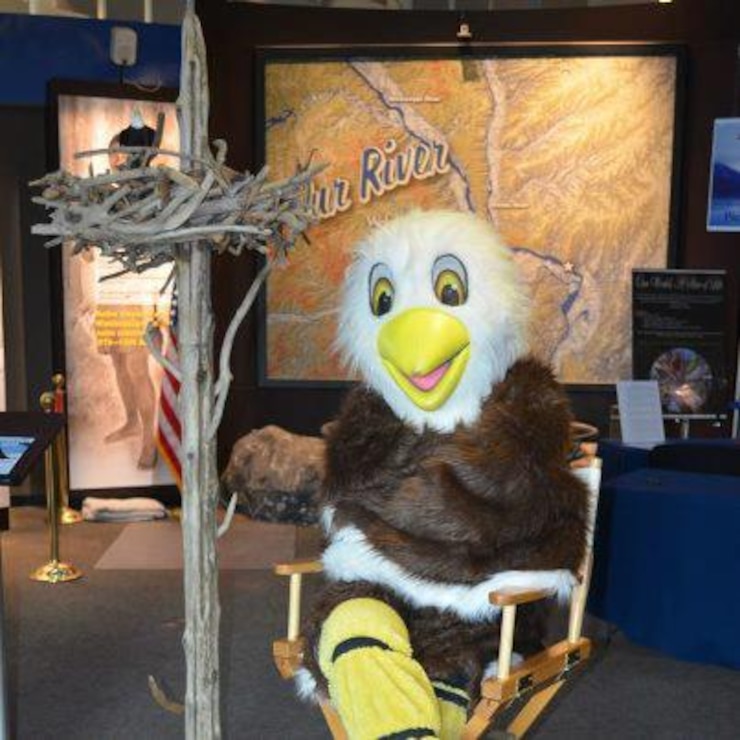 Eric the Eagle getting ready for Masters of the Sky, Feb. 14, 15, 16 at the National Great Rivers Museum in Alton, Ill. 