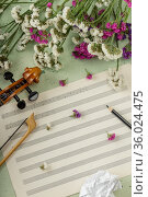 Top view. Music notes, crumpled sheet of music, violin curl and stem flowers. Стоковое фото, фотограф Сергей Молодиков / Фотобанк Лори