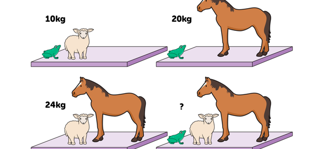 Математическая головоломка. Сколько весят все животные вместе?