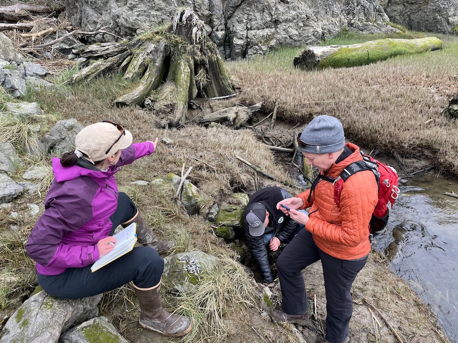 Members of U.S. Army Corps of Engineers, Seattle District crisis action team examine and record the number of dead and injured juvenile fish during a site visit, April 21, 2023. The presence of the dead endangered salmon led to emergency repairs to the McGlinn Island Jetty that begin May 22, 2023.