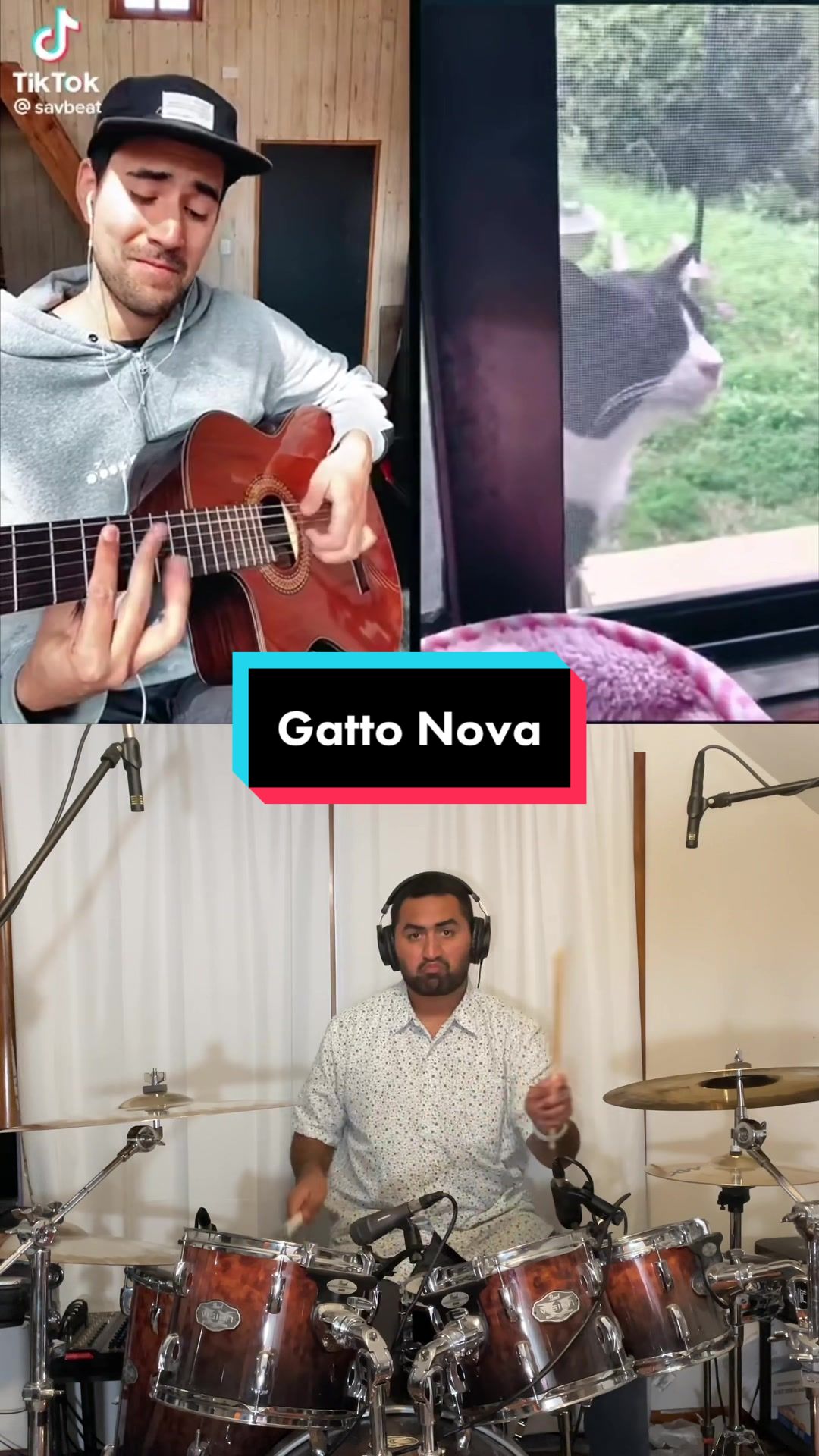Replying to @kevster__ #duet with @savbeat no, this is gatto nova #bossanova #music #bossa #fyp #cat #samba #latin #salsa  created by Michael Tonga Music with Passion animaux 🐴🐕's son original