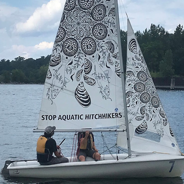 Stop Aquatic Hitchhikers Art Sail