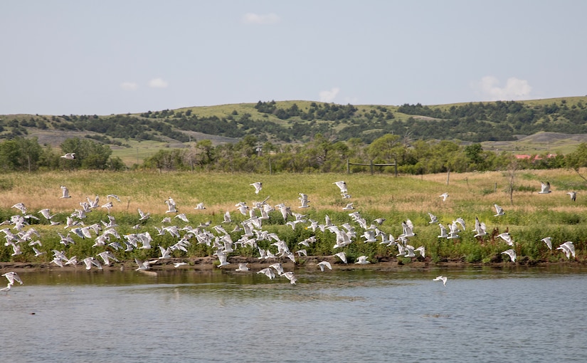 A photo from the Lower Brule Sioux Tribe natural resources preservation and ecosystem restoration Tribal Partnership Program project ceremony.