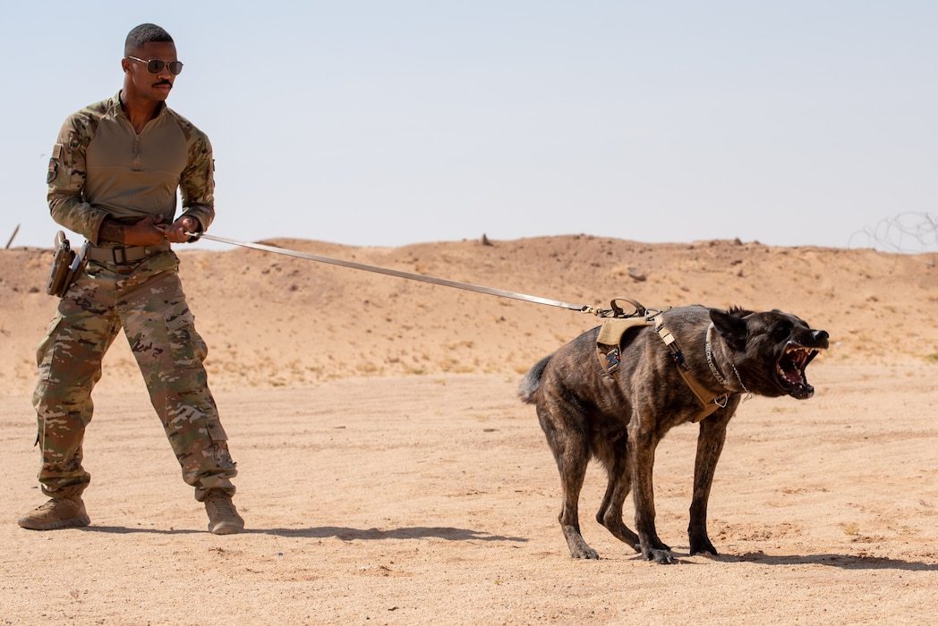U.S. Air Force Staff Sgt. Ahmad Houston, a military working dog handler assigned to the 378th Expeditionary Security Forces Squadron, controls his K9 during dog handler training