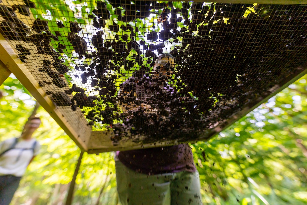 The Environmental and Cultural Resources Section includes biologists, environmental specialists, physical scientists, environmental engineers, archaeologists, a tribal liaison, and a hist