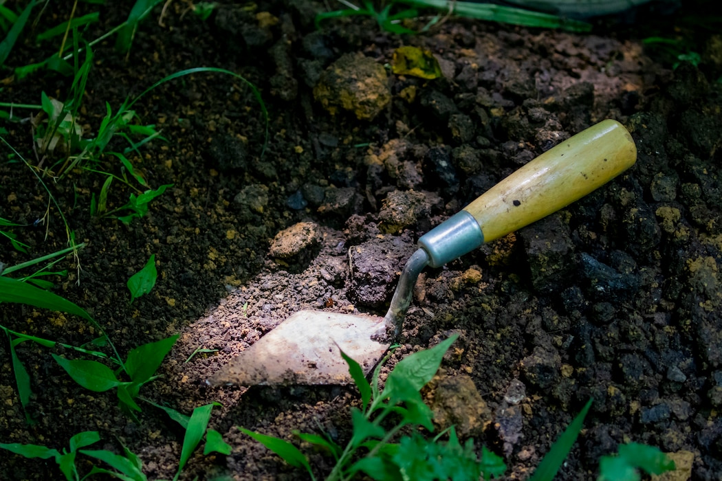 The Environmental and Cultural Resources Section includes biologists, environmental specialists, physical scientists, environmental engineers, archaeologists, a tribal liaison, and a hist