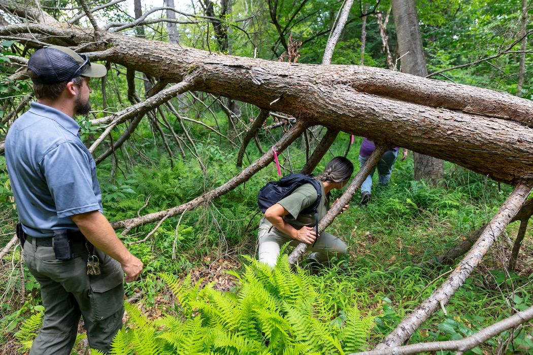 The Environmental and Cultural Resources Section includes biologists, environmental specialists, physical scientists, environmental engineers, archaeologists, a tribal liaison, and a hist