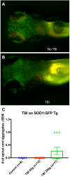 Figure 5—figure supplement 1.