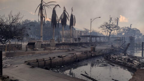 Several dead as wildfire burns historic Hawaii town to the ground