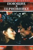 Постер Поющие в терновнике: 1 сезон