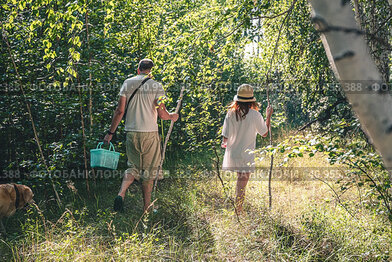 Dad with his daughter and dog in the forest looking for mushrooms