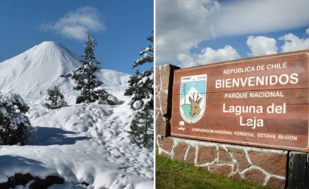 Parque Nacional Laguna Laja reabre sus puertas a la comunidad tras intensos trabajos de reparación