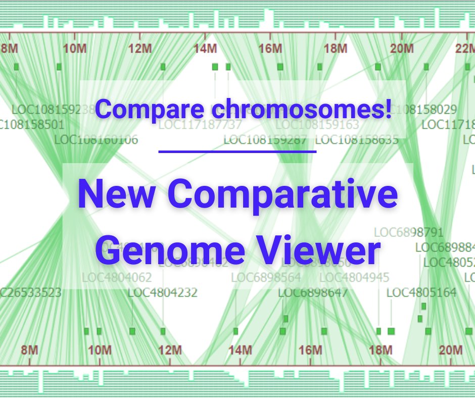 Background is the CGV chromosome-level view comparing chromosomes and text reads: "Compare chromosomes! New Comparative Genome Viewer"