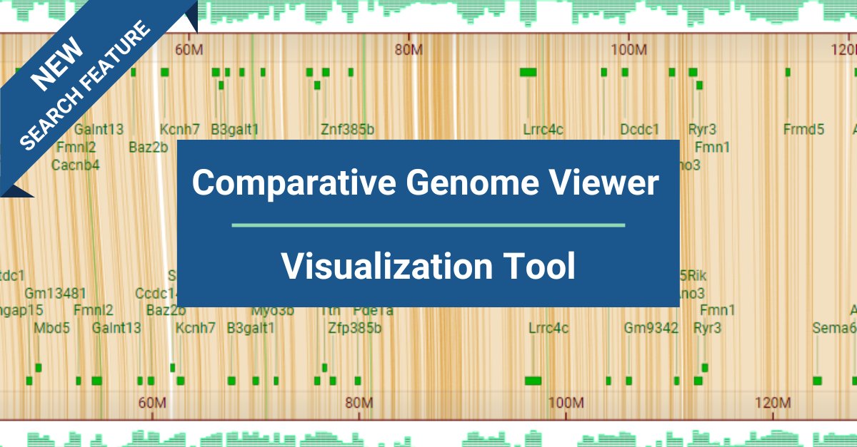 Background image of genome assemblies in the CGV. Text reads: New search feature, Comparative Genome Viewer Visualization Tool