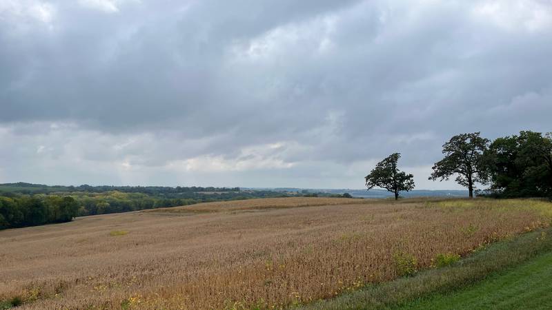 Tornado touchdown confirmed by NWS in Belleville