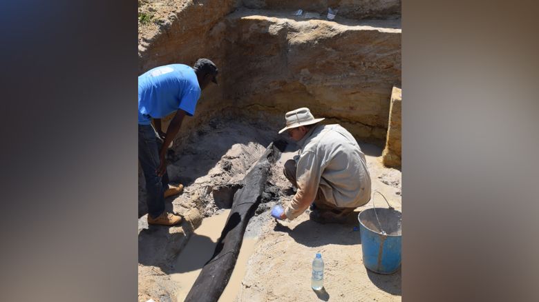 The excavation team uncovering the wooden structure