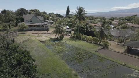 maui hawaii water diversion fire weir dnt vpx_00035026.png