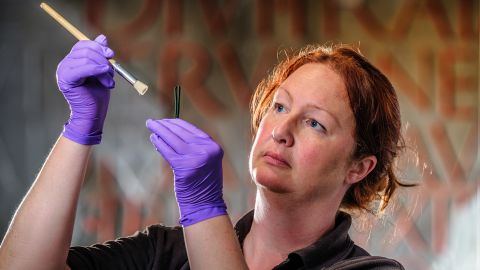 An English Heritage conservator examines a collection of tweezers used to remove armpit hair from Roman men and women at Wroxeter Roman City, Shropshire -- a Roman town once as large as Pompeii.