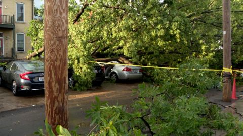 A woman died in St. Louis, Missouri, after a tree fell on her car during severe weather on Saturday, July 1. 