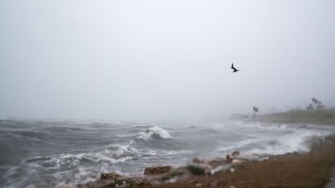 01 harold storm 0822 TEXAS