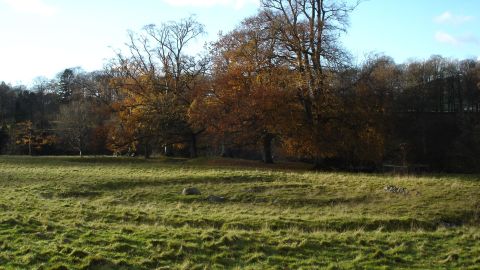 According to researchers at the Francis Crick Institute, one case of Yersinia pestis was found in human remains in a ring cairn monument in Levens, Cumbria.