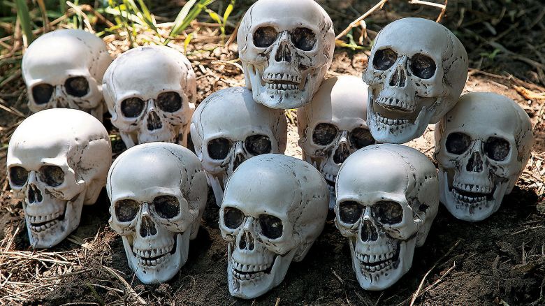 Bag of Skulls Halloween Decorations cnnu.jpg