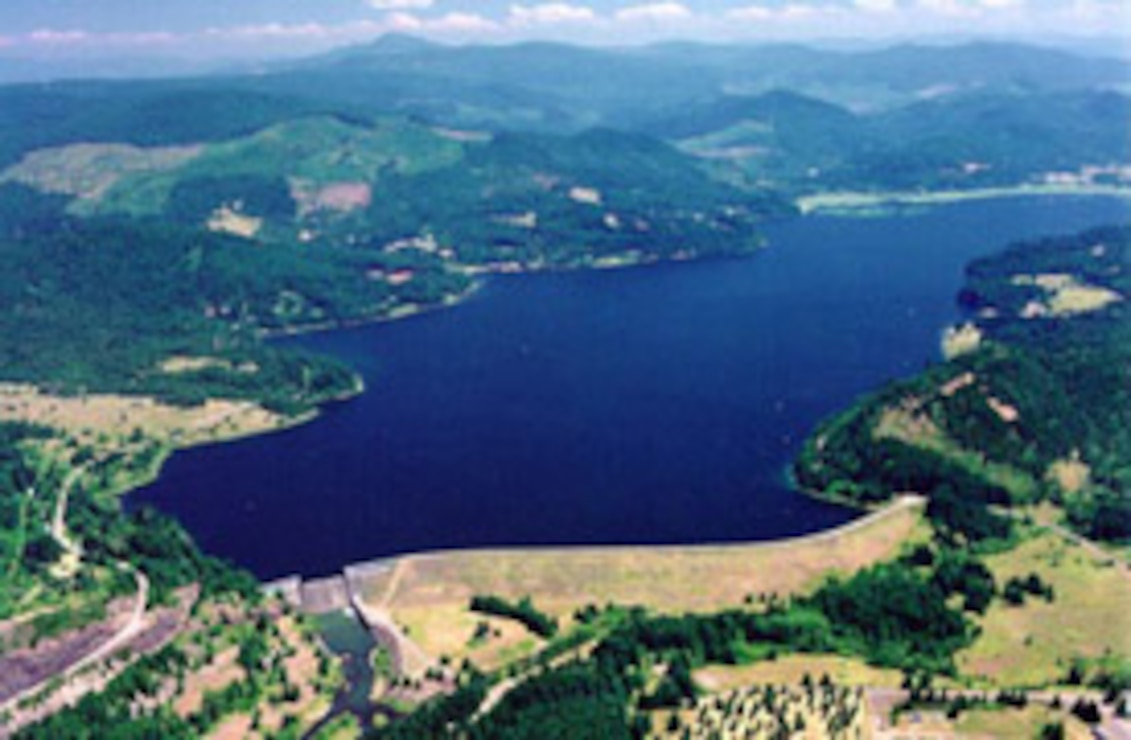 aerial photo of Dorena Dam