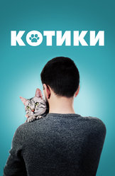 Котики