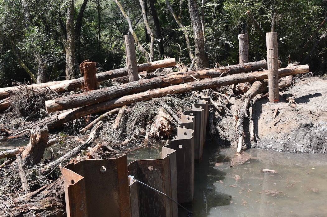 Logs, dirt and water