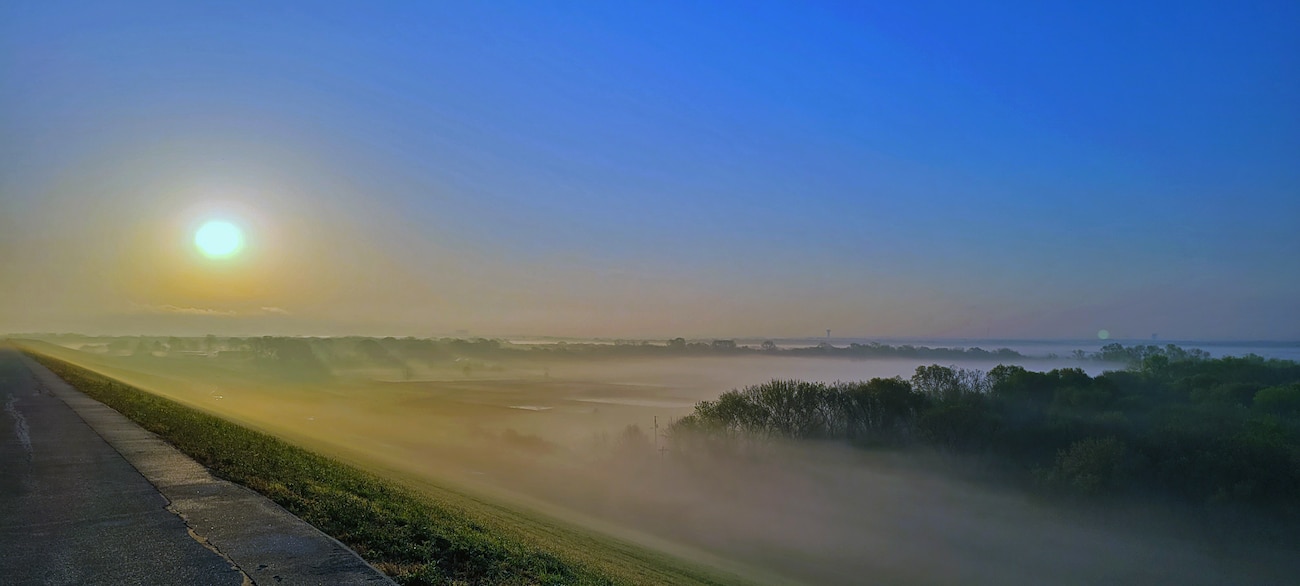 fog over trees and grass at dawn