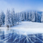 Frozen lake and snowy forest