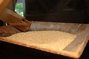 Grinding Corn into Cornmeal