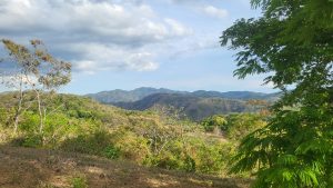 Paisaje verde, montañas. Green rolling hills, view all the way to the horizon.
