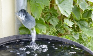 Water pouring into rain barrel