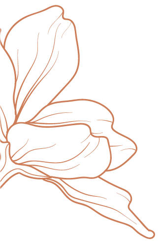 A large lotus on the left side of the section. In the bronze gradient outline.