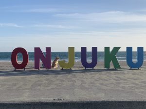 　Monument at Onjuku Beach, onjuku Town, Chiba Prefecture